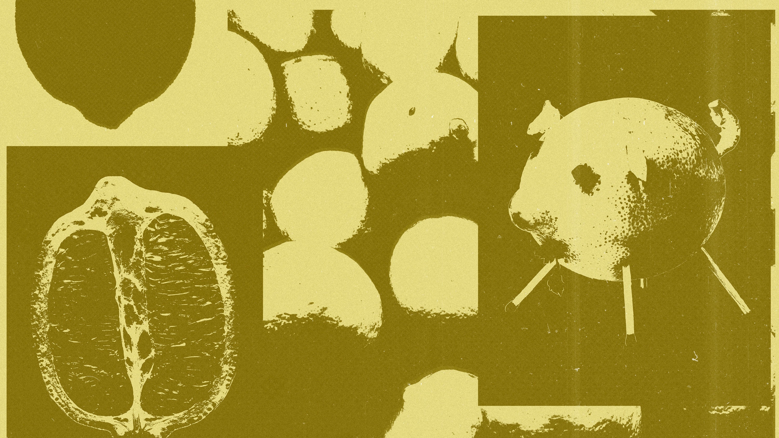 Sixteen Things to Do with a Lemon — Melbourne Design Week 2026