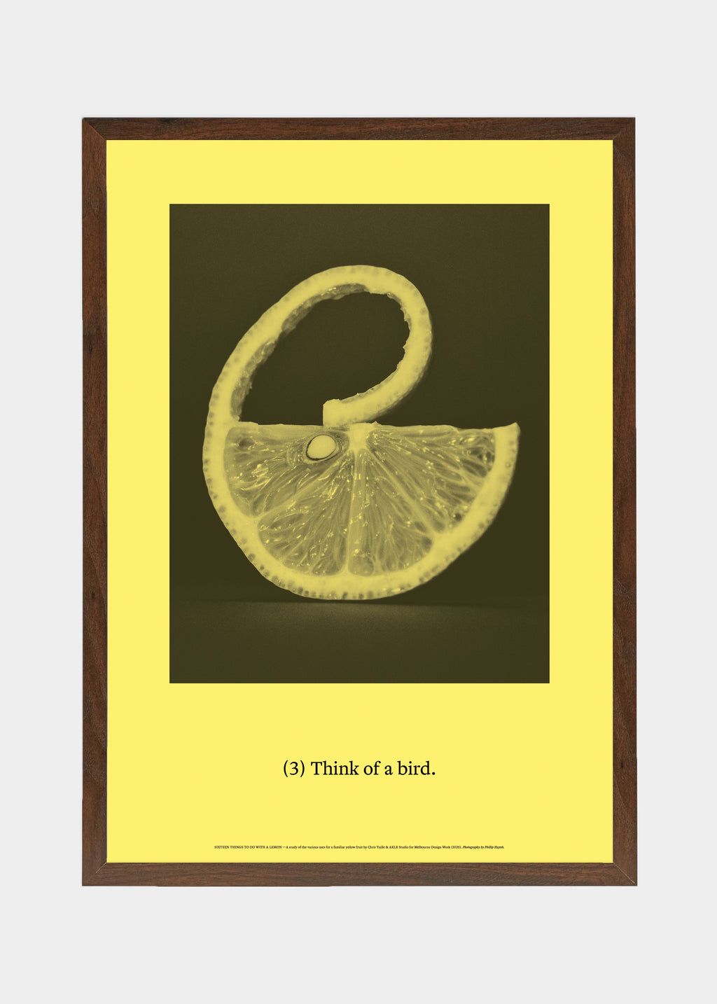 [03] Think of a bird.
