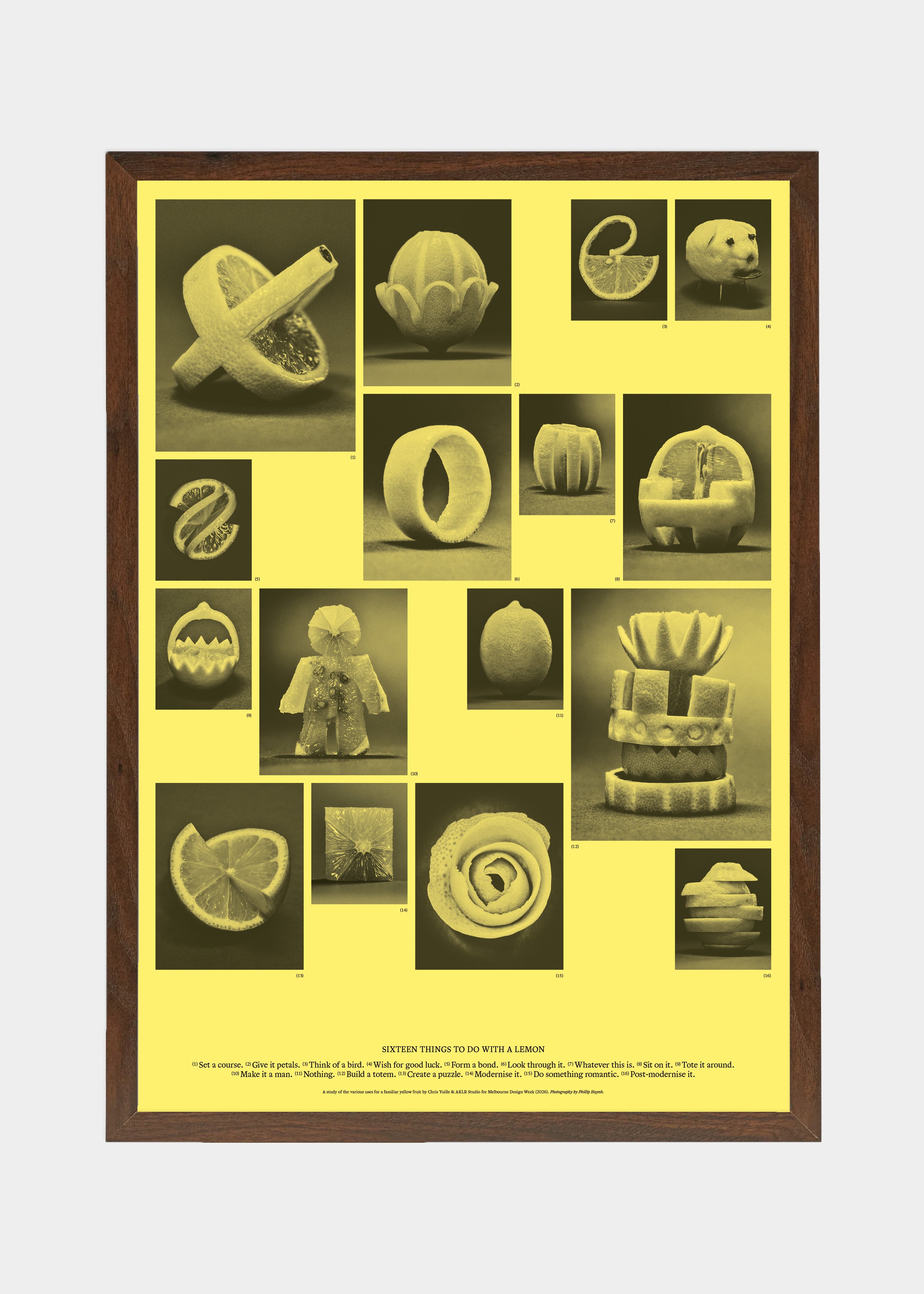 [01 – 16] Sixteen Things To Do With a Lemon
